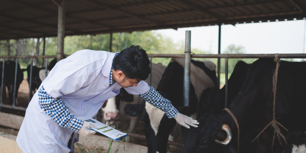 Banner Ngành Chăn nuôi, Thú y