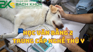 Học Văn Bằng 2 Trung Cấp Nghề Thú Y