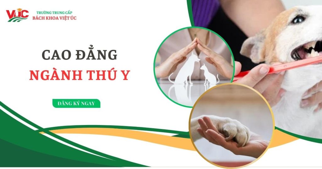 Cao đẳng ngành Thú y