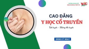 Cao đẳng Y học cổ truyền