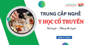 Trung cấp nghề Y học cổ truyền