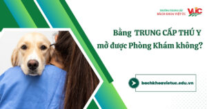 Bằng Trung cấp Thú y