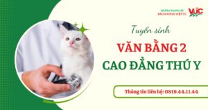 Văn bằng 2 Cao đẳng Thú y