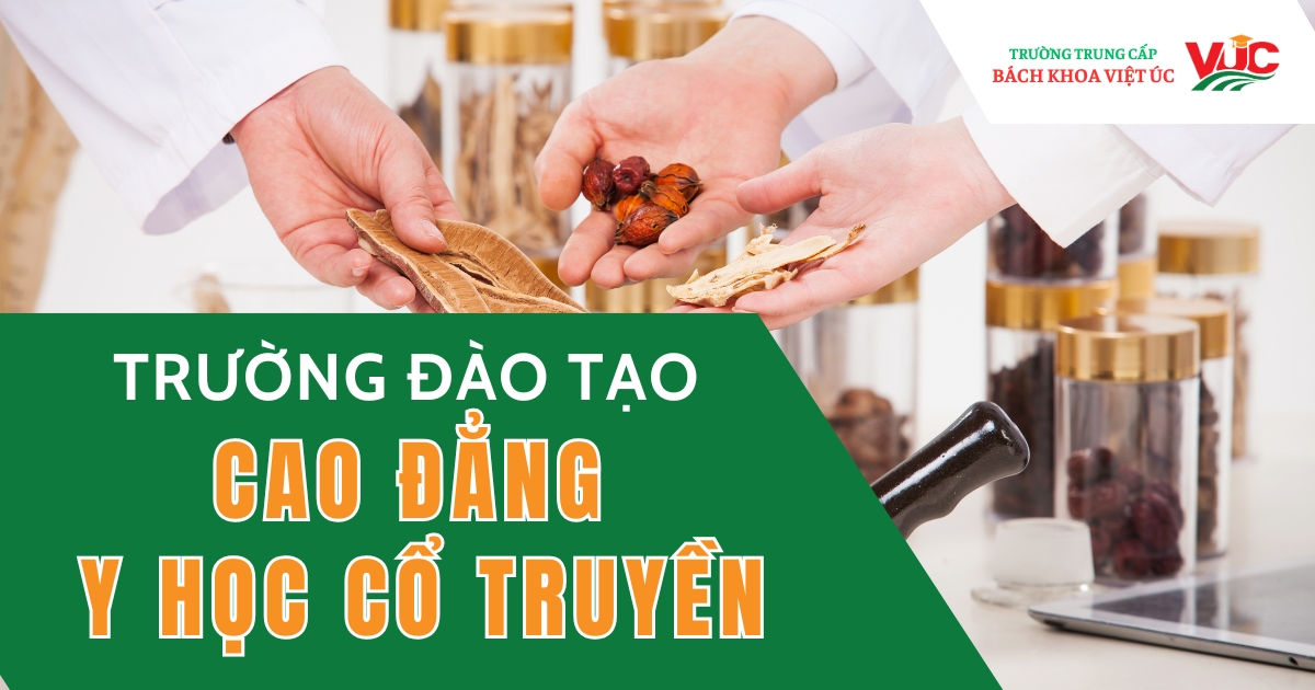 Trường đào tạo Cao đẳng Y học cổ truyền