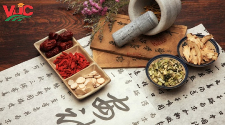 Đăng ký học Trung cấp Y học cổ truyền dễ dàng - Nhận Bằng Chính quy 22 Tại sao chọn đăng ký học Trung cấp Y học cổ truyền tại Trường Trung Cấp Bách Khoa Việt Úc