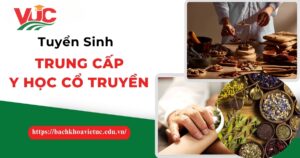 Đăng ký học Trung cấp Y học cổ truyền dễ dàng - Nhận Bằng Chính quy