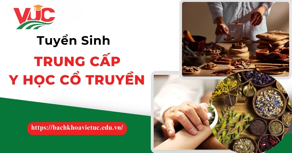 Đăng ký học Trung cấp Y học cổ truyền dễ dàng - Nhận Bằng Chính quy