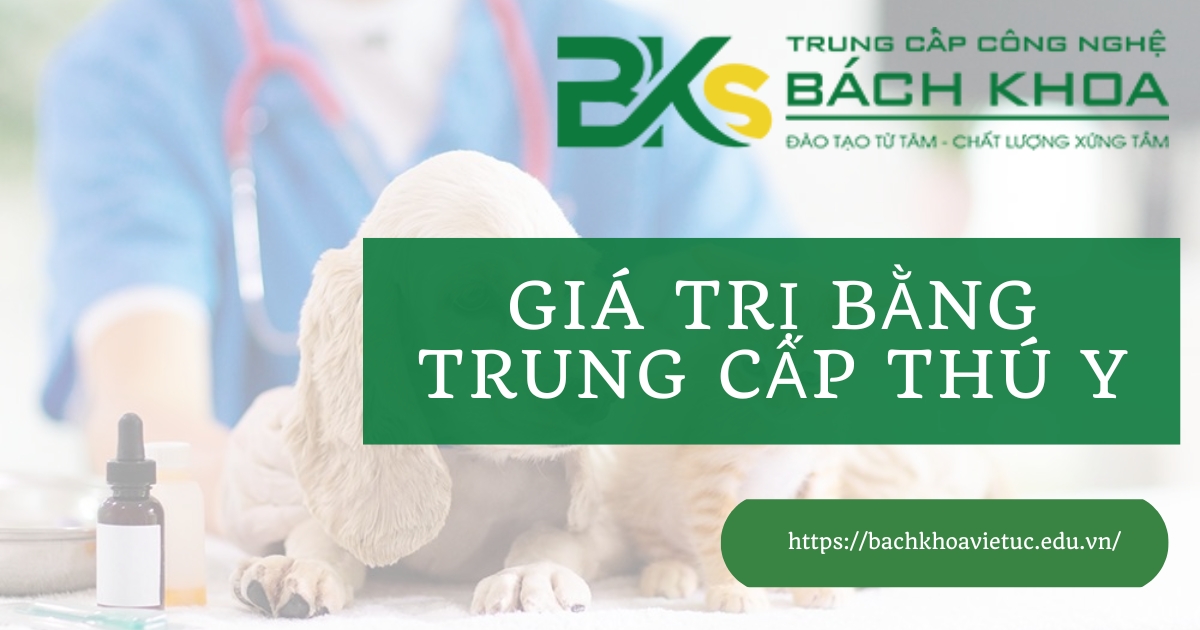 Bằng Trung cấp thú y có giá trị gì?