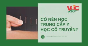 Có nên học Trung cấp Y học cổ truyền năm 2025?
