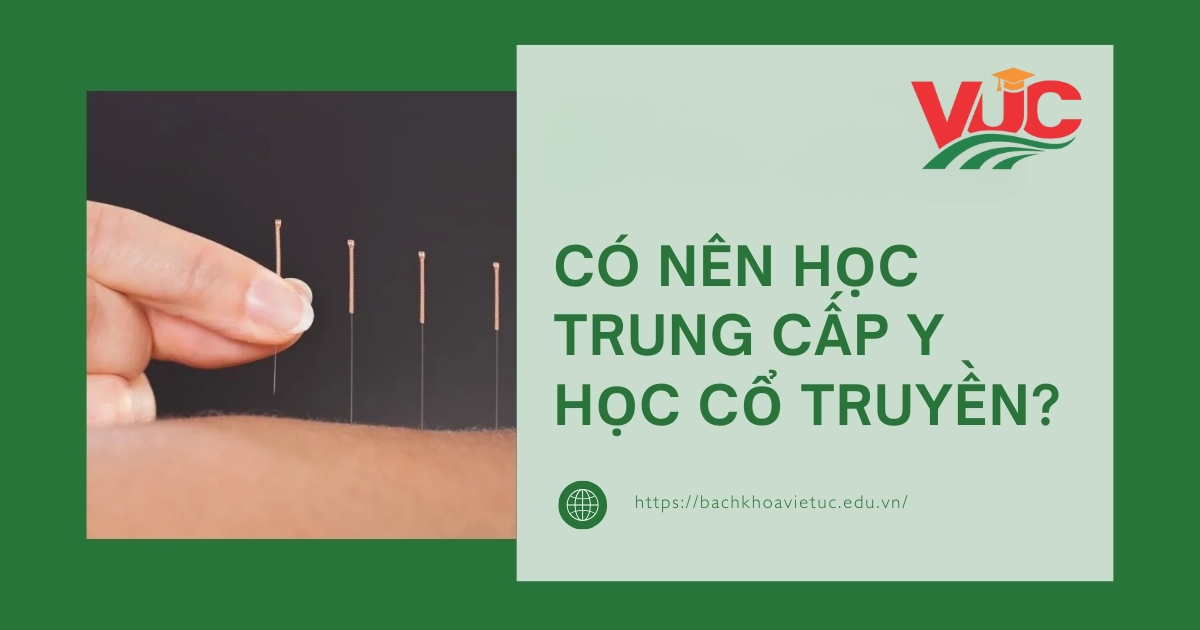 Có nên học Trung cấp Y học cổ truyền năm 2025?