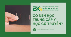 Có nên học Trung cấp Y học cổ truyền năm 2025 không