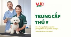 Học Trung cấp thú y có mở phòng khám thú y được không?