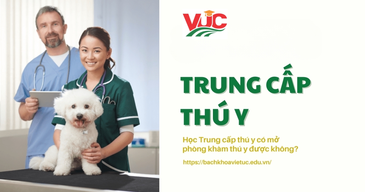 Học Trung cấp thú y có mở phòng khám thú y được không?