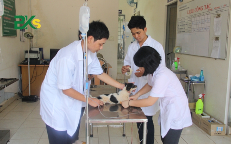 Cơ hội nghề nghiệp Trung cấp cao thủ