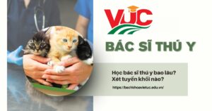 Học bác sĩ thú y bao lâu