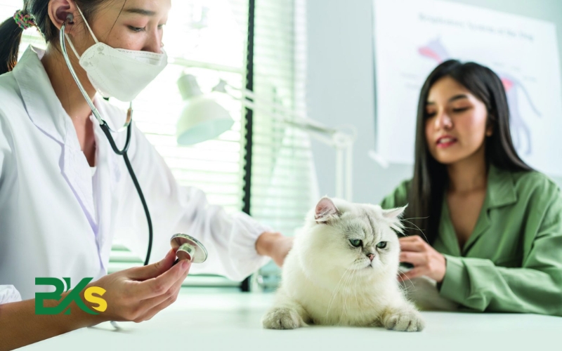 Hướng đi nào dành cho Trung cấp thú y
