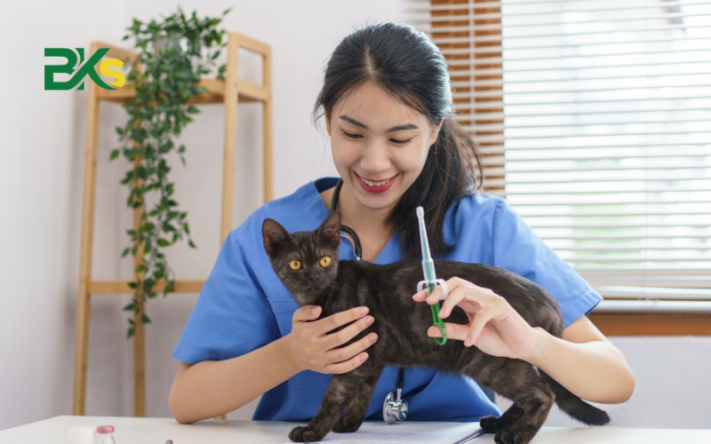 Mục tiêu đào tạo Trung cấp thú y