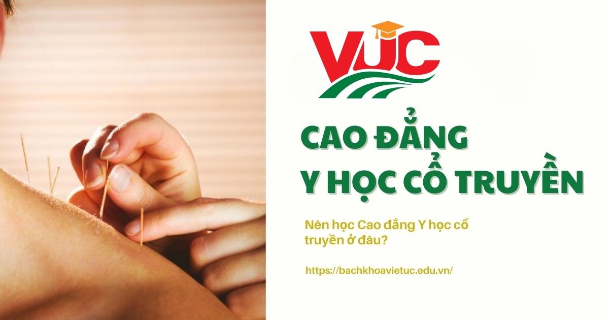Nên hoc Cao đẳng Y học cổ truyền ở đâu?