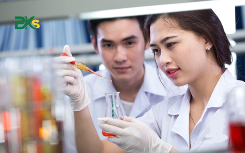 Cơ hội phát triển nào dành cho Trung cấp Dược 2025? 7 Lưu ý giúp tăng tỷ lệ việc làm sinh viên Trung cấp dược