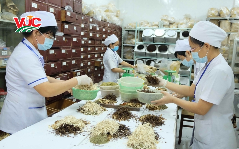 Nên học Cao đẳng Y học cổ truyền ở đâu? 23 Thông tin tuyển sinh Cao đẳng y học cổ truyền