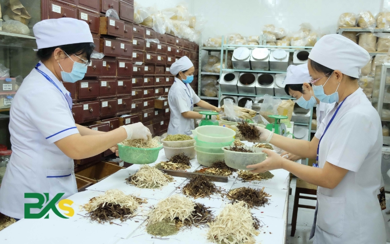 Nên học Cao đẳng Y học cổ truyền ở đâu? 19 Thông tin tuyển sinh cao đẳng Y học cổ truyền