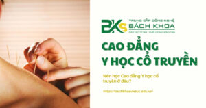 Nên học Cao đẳng Y học Cổ truyền ở đâu?