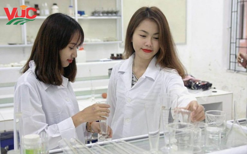 Bằng Trung cấp Dược vừa học vừa làm có giá trị không?