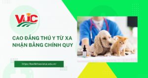 Cao đẳng thú y từ xa nhận bằng chính quy