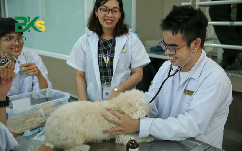Lợi thế khi chọn học Cao đẳng thú y Từ xa 4 Học Cao đẳng thú y tại Trung cấp Bách Khoa