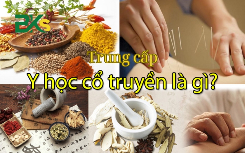 Có nên học Trung cấp Y học cổ truyền năm 2025? 3 Tổng quan về Trung cấp Y học cổ truyền