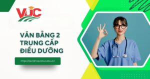 Học văn bằng 2 Trung cấp Điều dưỡng ở đâu uy tín?