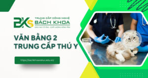 Văn bằng 2 Trung cấp thú y