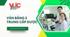 Giá trị văn bằng 2 Trung cấp Dược 