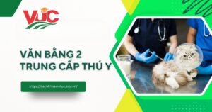Điều kiện học văn bằng 2 Trung cấp Thú y