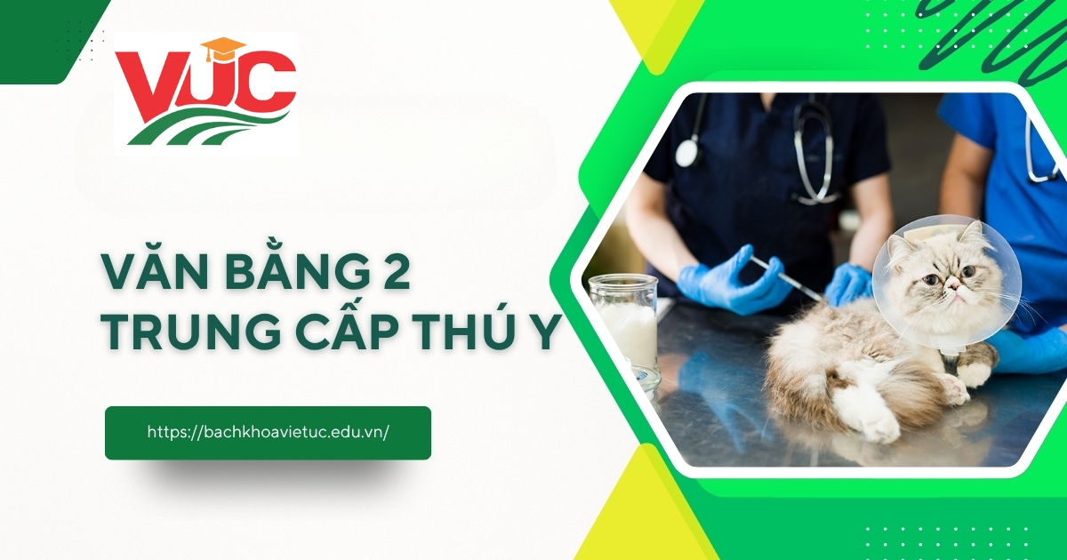 Điều kiện học văn bằng 2 Trung cấp Thú y