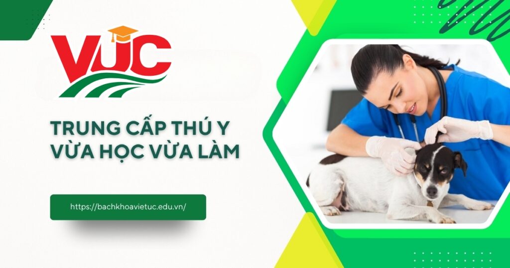 Trung cấp thú y vừa học vừa làm