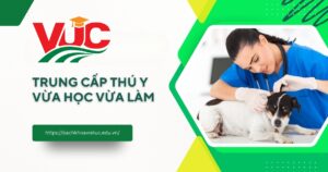 Trung cấp thú y vừa học vừa làm