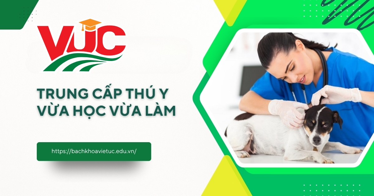 Trung cấp thú y vừa học vừa làm