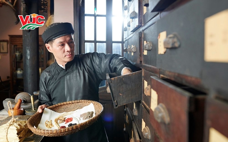Tuyển sinh Trung cấp Y học cổ truyền vừa học vừa làm mới nhất 6 Giá trị bằng Trung cấp Y học cổ truyền vừa học vừa làm