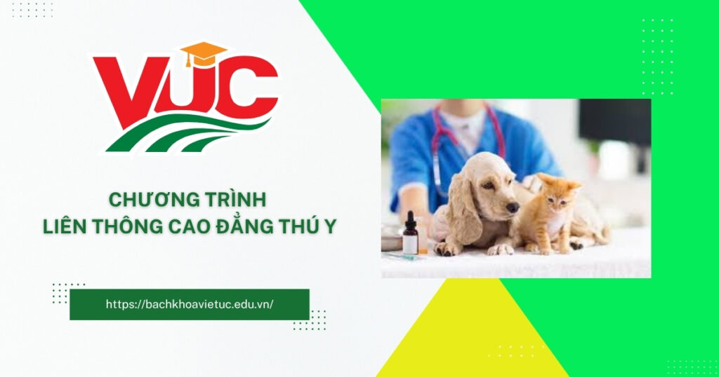 Liên thông cao đẳng thú y