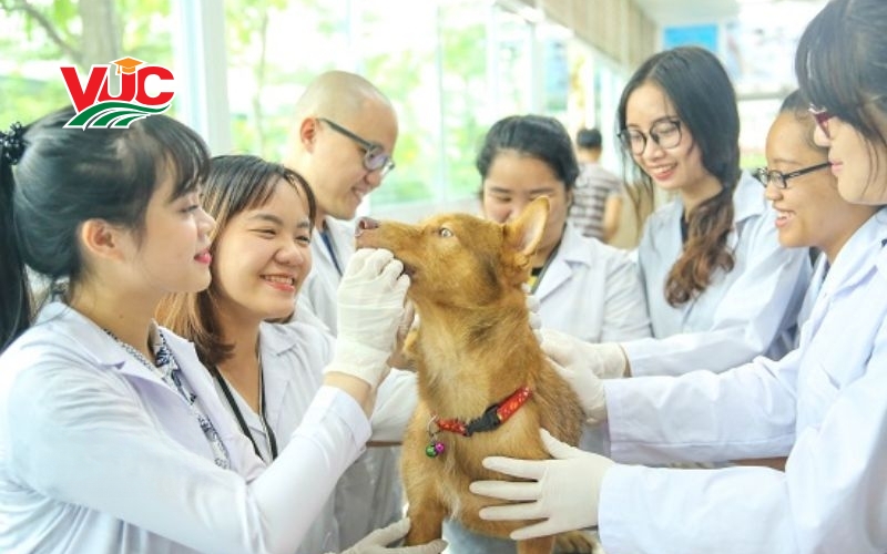 Tuyển sinh Trung cấp Thú y vừa học vừa làm mới nhất 6 Mục tiêu đào tạo Trung cấp Thú y vừa học vừa làm