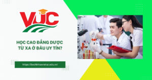 Nên học Cao đẳng Dược ở đâu uy tín