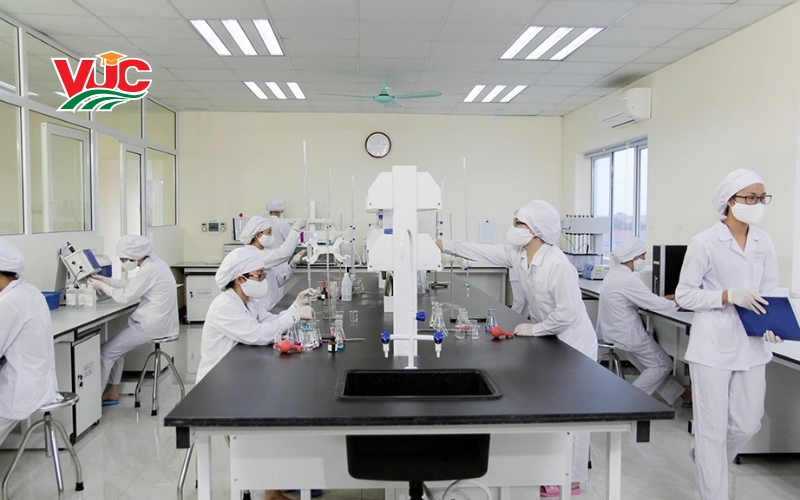 Bằng Trung cấp Dược vừa học vừa làm có giá trị gì? 7 Thông tin tuyển sinh Trung cấp Dược vừa học vừa làm