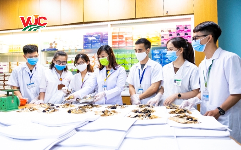 Tuyển sinh Trung cấp Y học cổ truyền vừa học vừa làm mới nhất 7 Thông tin tuyển sinh Trung cấp Y học cổ truyền vừa học vừa làm