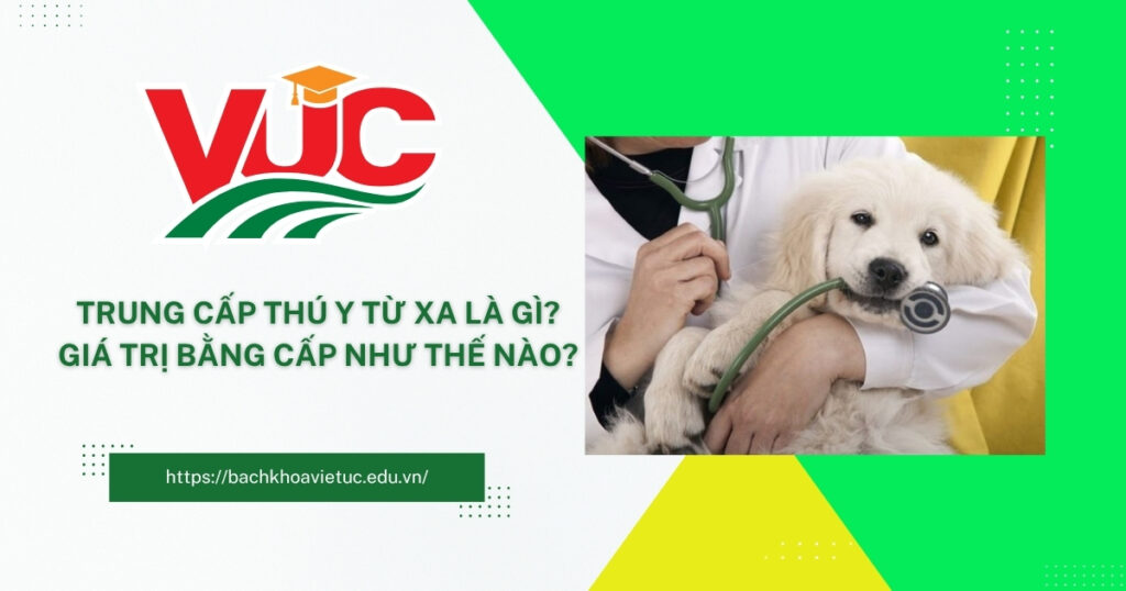 Trung cấp thú y từ xa