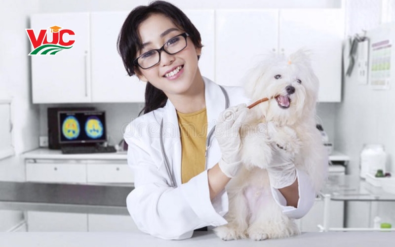 Tuyển sinh Trung cấp Thú y Từ Xa mới nhất 5 Trung cấp Thú y từ xa là gì?