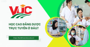 Cao đẳng Dược trực tuyến