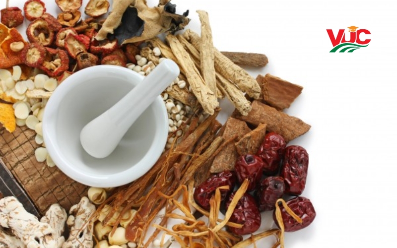 Chương trình khung Trung cấp Y học cổ truyền 