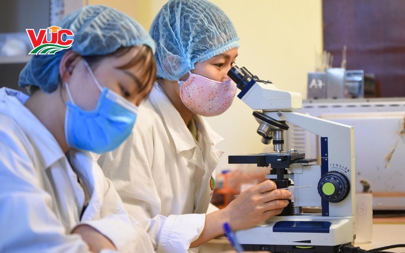 Học Trung cấp Thú Y từ xa ra làm gì?