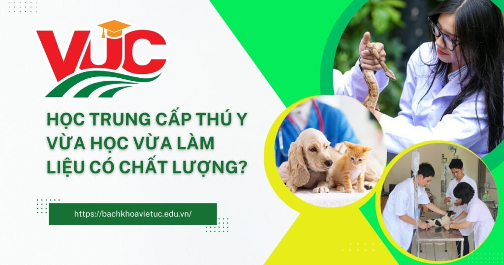 Trung cấp Thú Y vừa học vừa làm